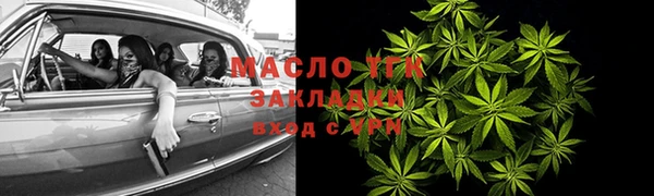 шишки Верхний Тагил