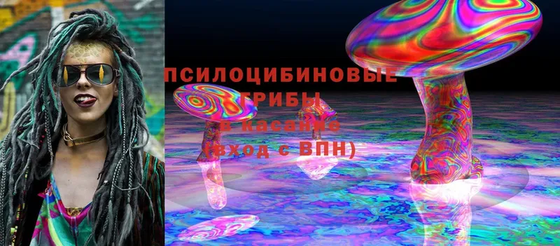 Псилоцибиновые грибы Cubensis  наркошоп  Анапа 